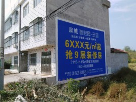 彬州墙体广告质量分析