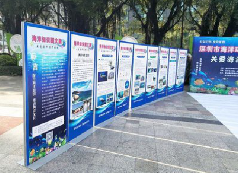 彬州KT板的种类和知识。